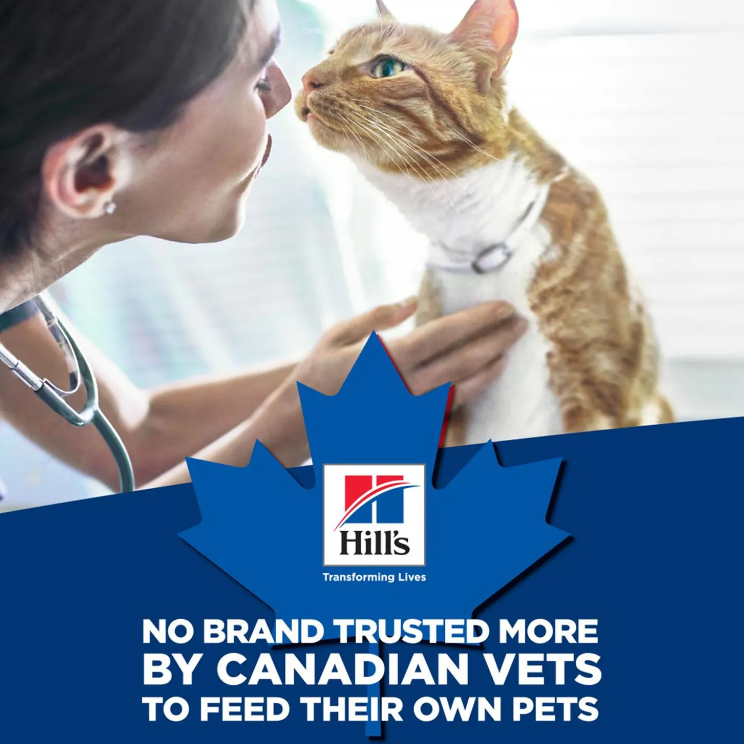 Specialty Sensitive Stomach & Skin Chicken & Vegetable Entree Adult Cat Food