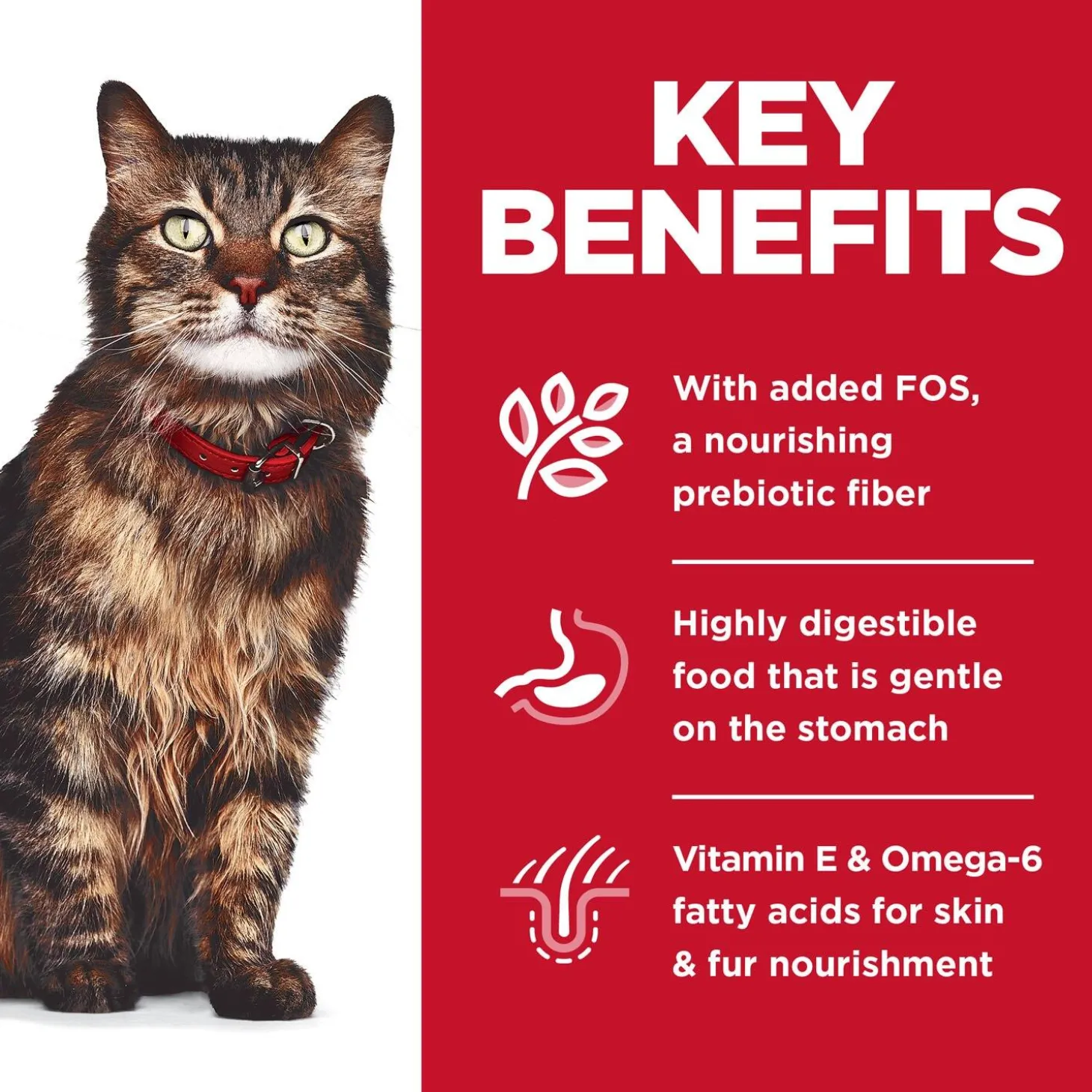 Specialty Sensitive Stomach & Skin Salmon & Tuna Dinner Adult Cat Food