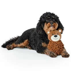 Spikey Bear Ball Dog Toy