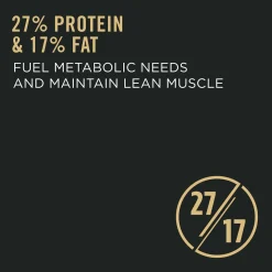 Sport Active 27/17 Chicken & Rice Formula Dog Food