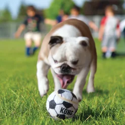 Sport Balls 3 Pack Dog Toys