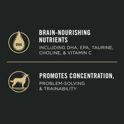 Sport Development 30/20 Chicken & Rice Puppy Dog Food