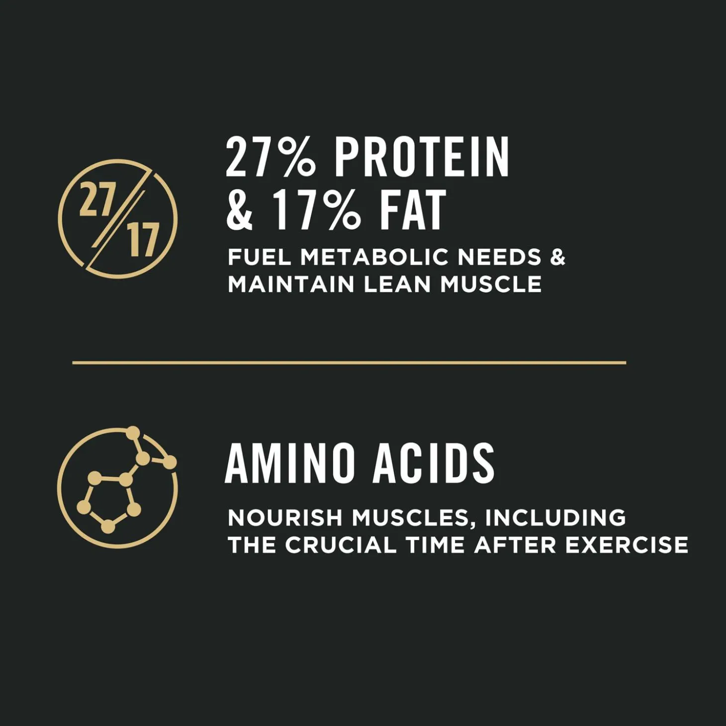 Sport Small Bites 27/17 Lamb & Rice Formula Dog Food