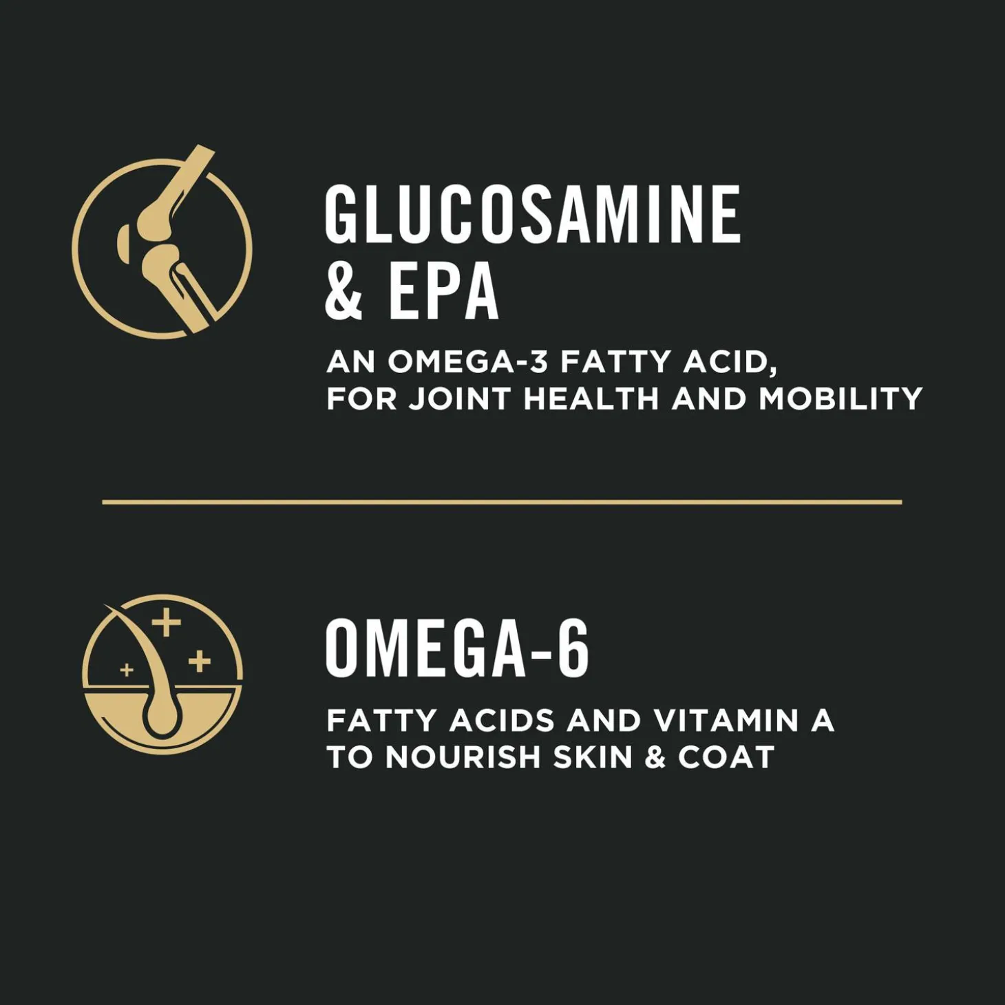 Sport Small Bites 27/17 Lamb & Rice Formula Dog Food