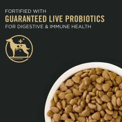 Sport Small Bites 27/17 Lamb & Rice Formula Dog Food