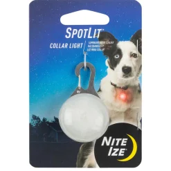 SpotLit LED Assorted Colours