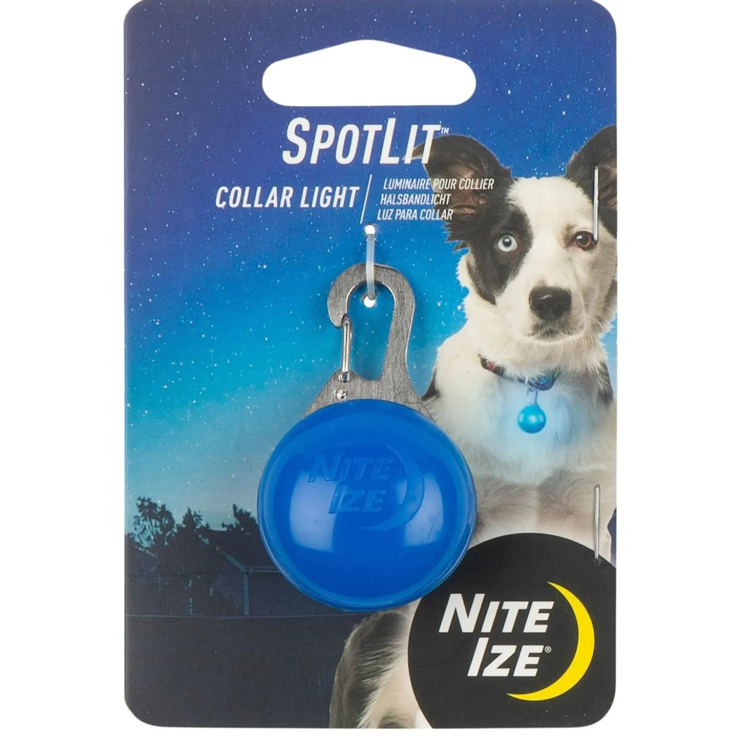 SpotLit LED Assorted Colours