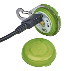 SpotLit Rechargeable LED Assorted Colours Collar Light