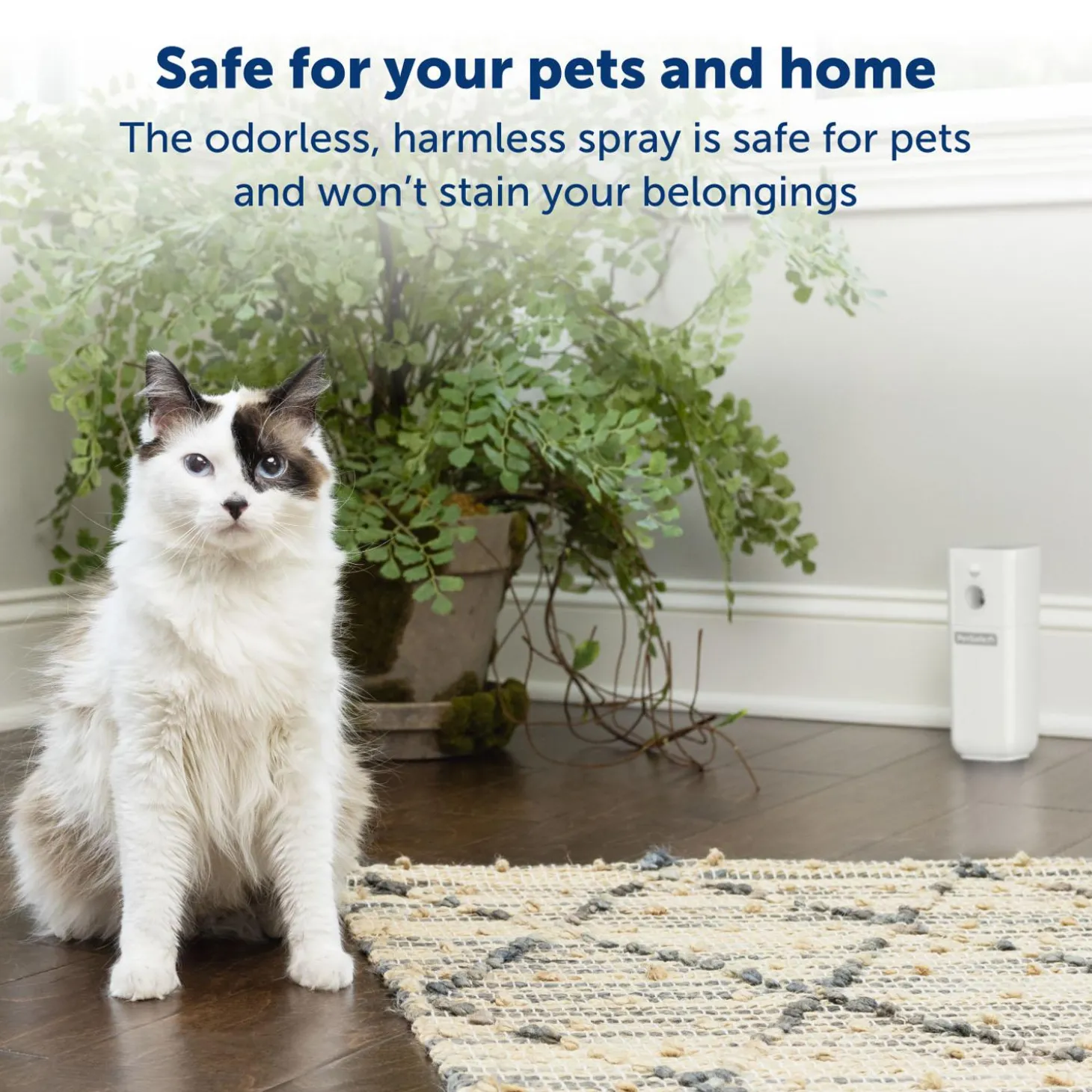 SSSCAT Automatic Spray Pet Deterrent