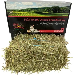 1st Cut Timothy Orchard Grass Mini Bale Small Animal Hay