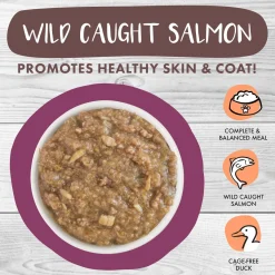 Stew! Stick a Spork in It Duck & Salmon Dinner Cat Food