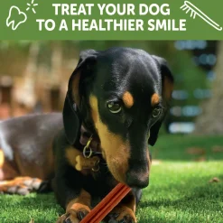 Stix Small Chews Dog Treats