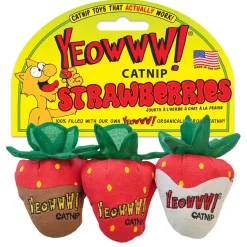 Strawberries Catnip Cat Toys