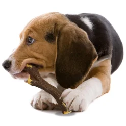 Strong Chew Real Wood Stick Maple Bacon Flavour Dog Toy