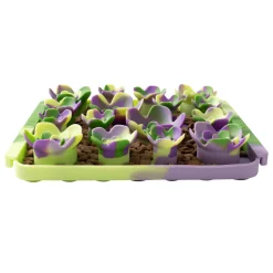 Succulent Foraging Mat