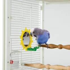 Sunburst Mirror Bird Toy