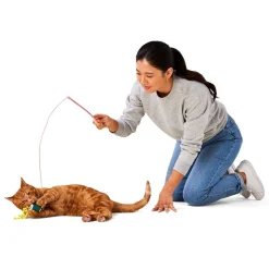 Sushi Teaser Wand Cat Toy