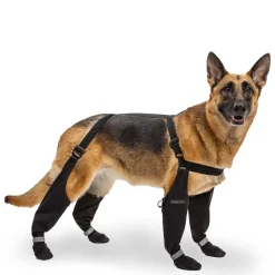 Suspender Long Black Boots