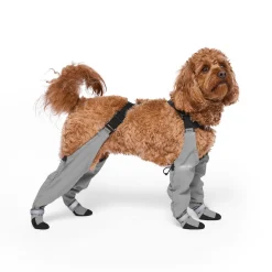 Suspender Long Grey Dog Boots