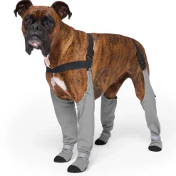 Suspender Short Grey Dog Boots