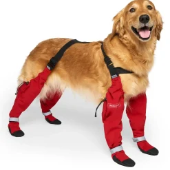Suspender Short Red Dog Boots