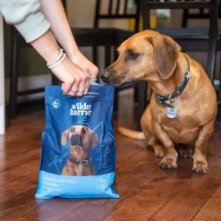 Sustainable Fish Formula Adult Dog Food