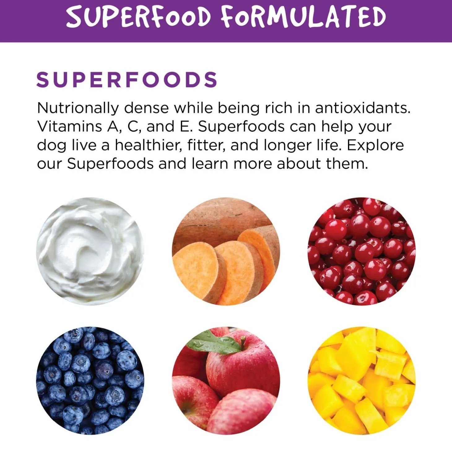 Switch Food Transition Pumpkin Dog & Cat Supplement