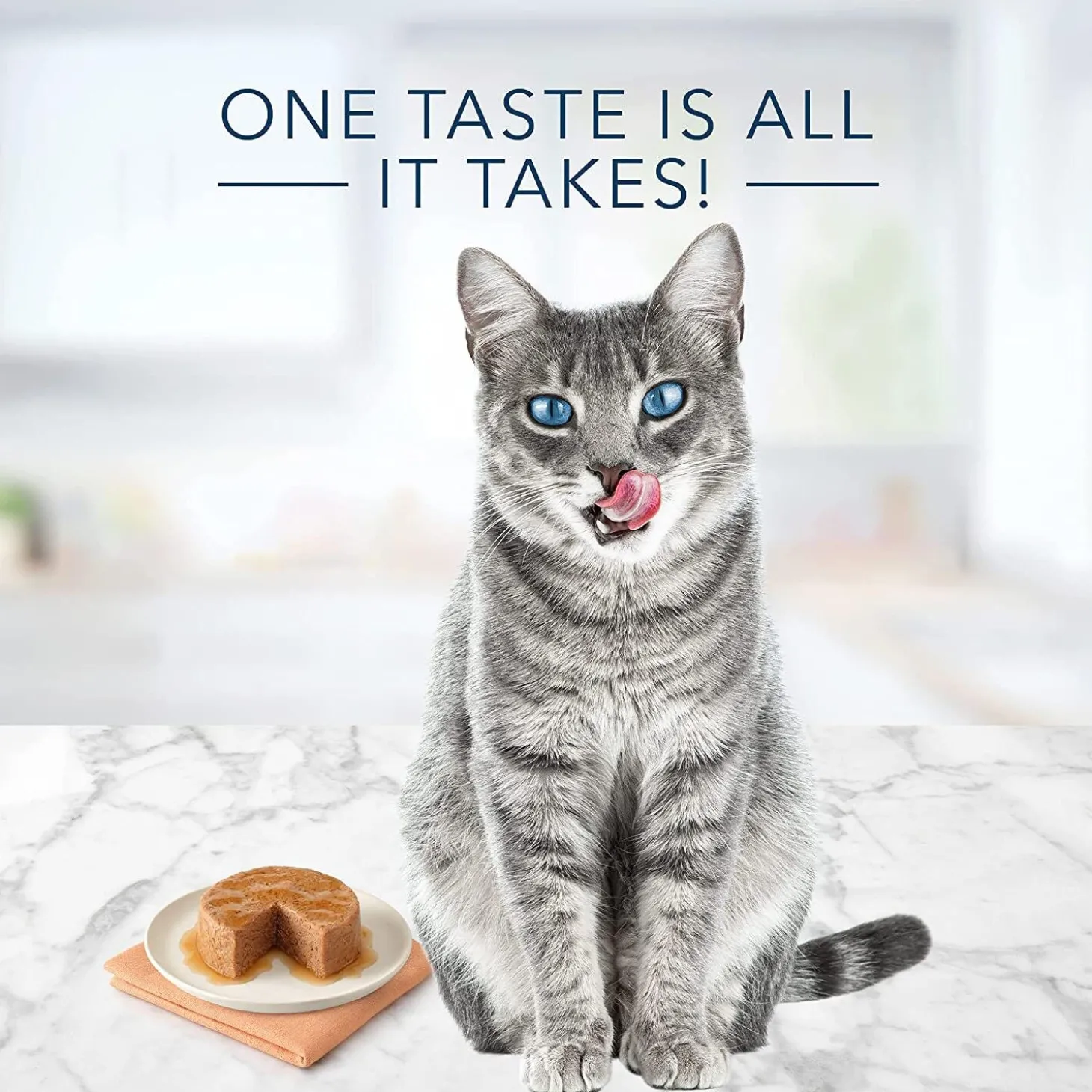 Tastefuls Natural Pate Salmon Entree Adult Cat Food