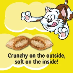 Tasty Chicken Flavour Cat Treats