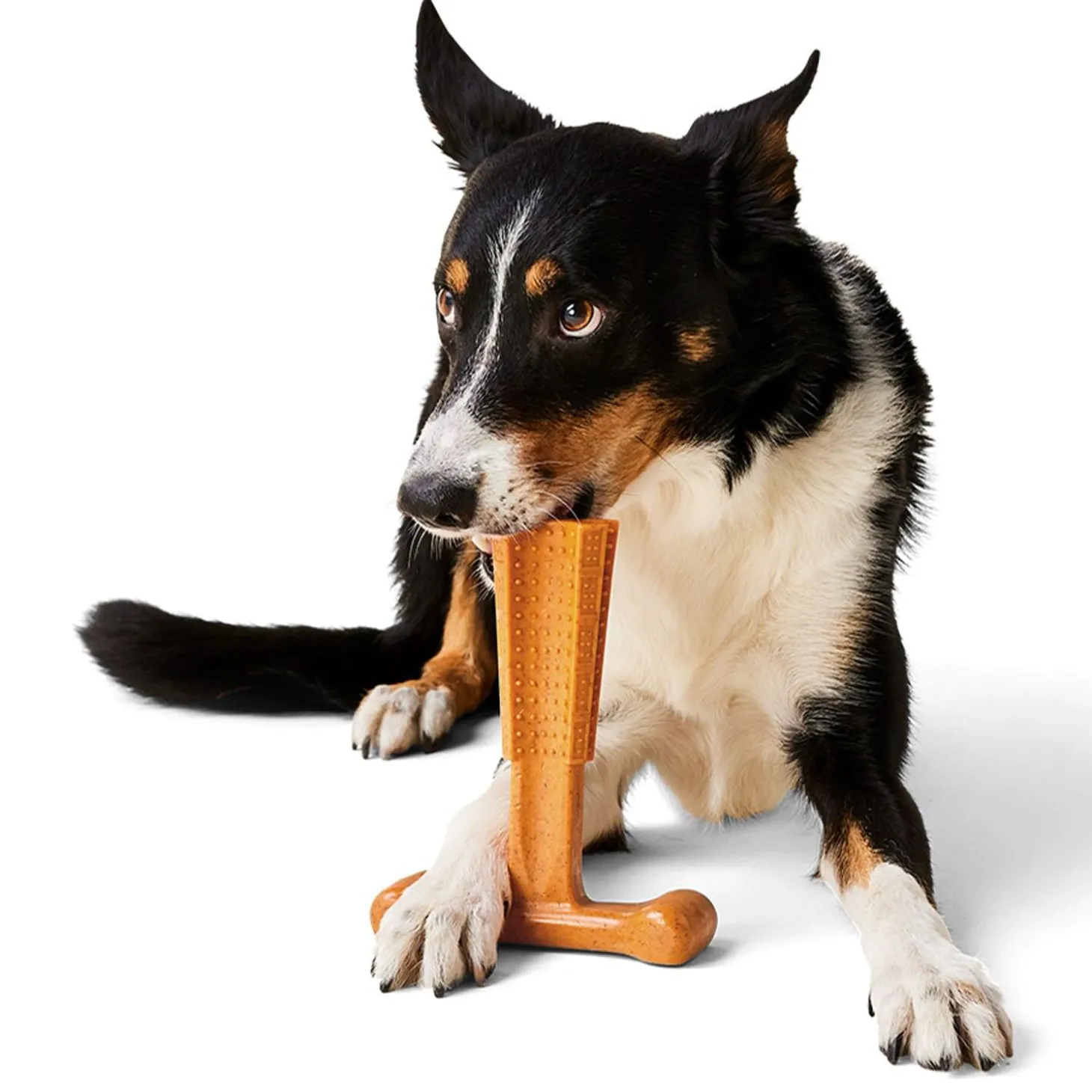 T-Bone Peanut Butter Chew Dog Toy