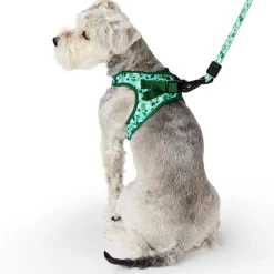 Terrazzo Green Dog Leash