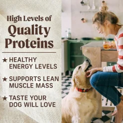 Thanksgiving Day Dinner in Gravy Adult Dog Food