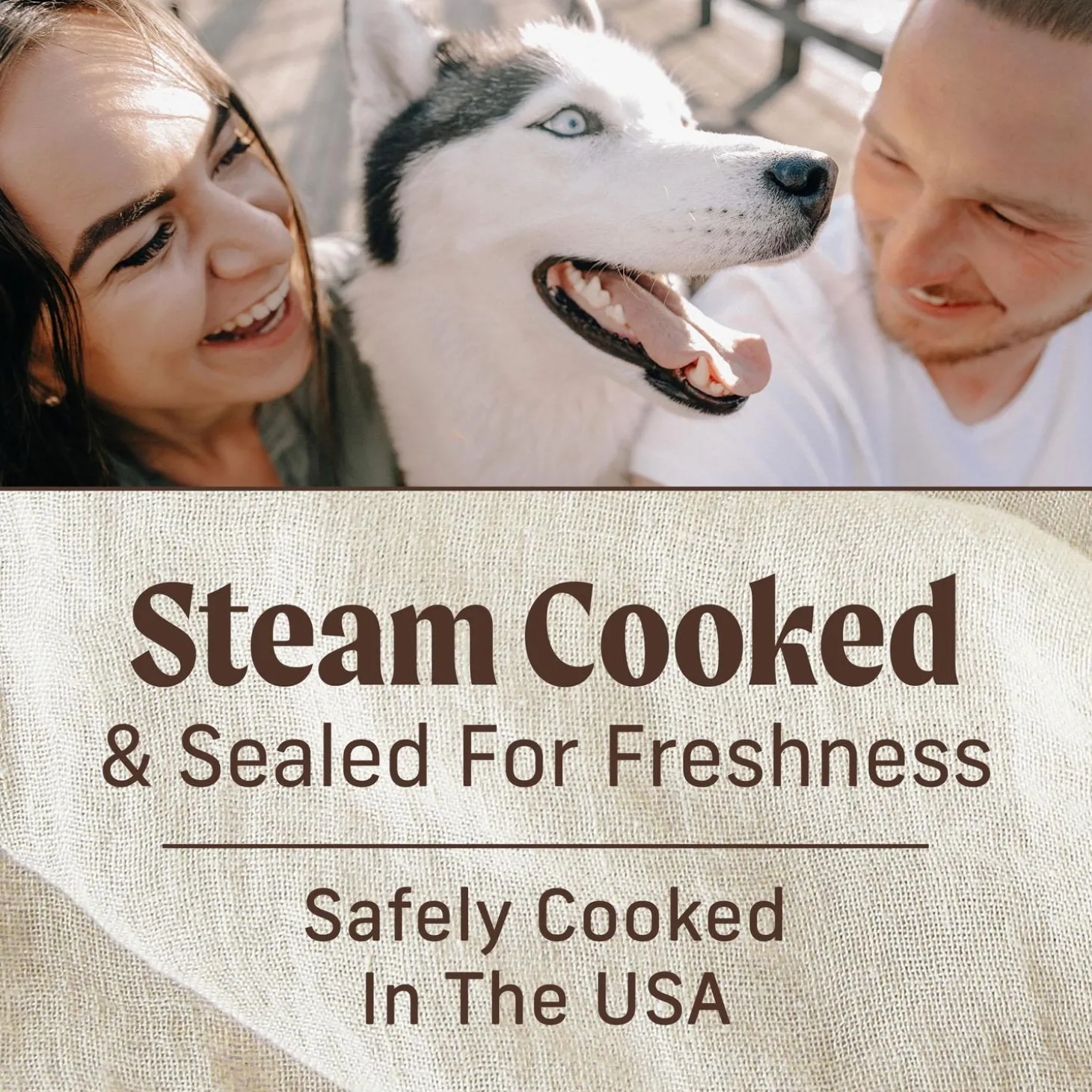 Thanksgiving Day Dinner in Gravy Adult Dog Food