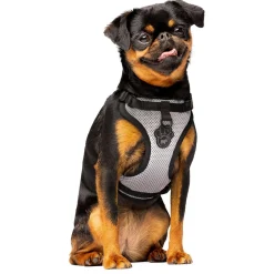 The Everything Mesh Dog Harness Reflective