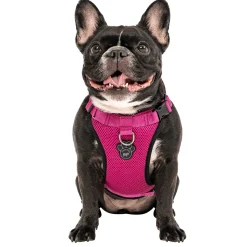 The Everything Mesh Dog Harness Pink