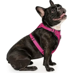 The Everything Mesh Dog Harness Pink