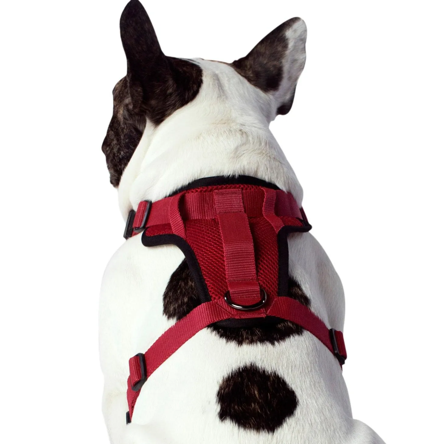 The Everything Mesh Harness Red