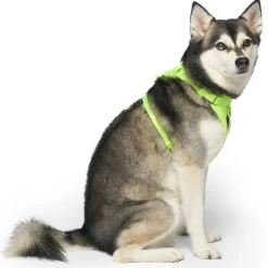 The Everything Mesh Neon Green Dog Harness