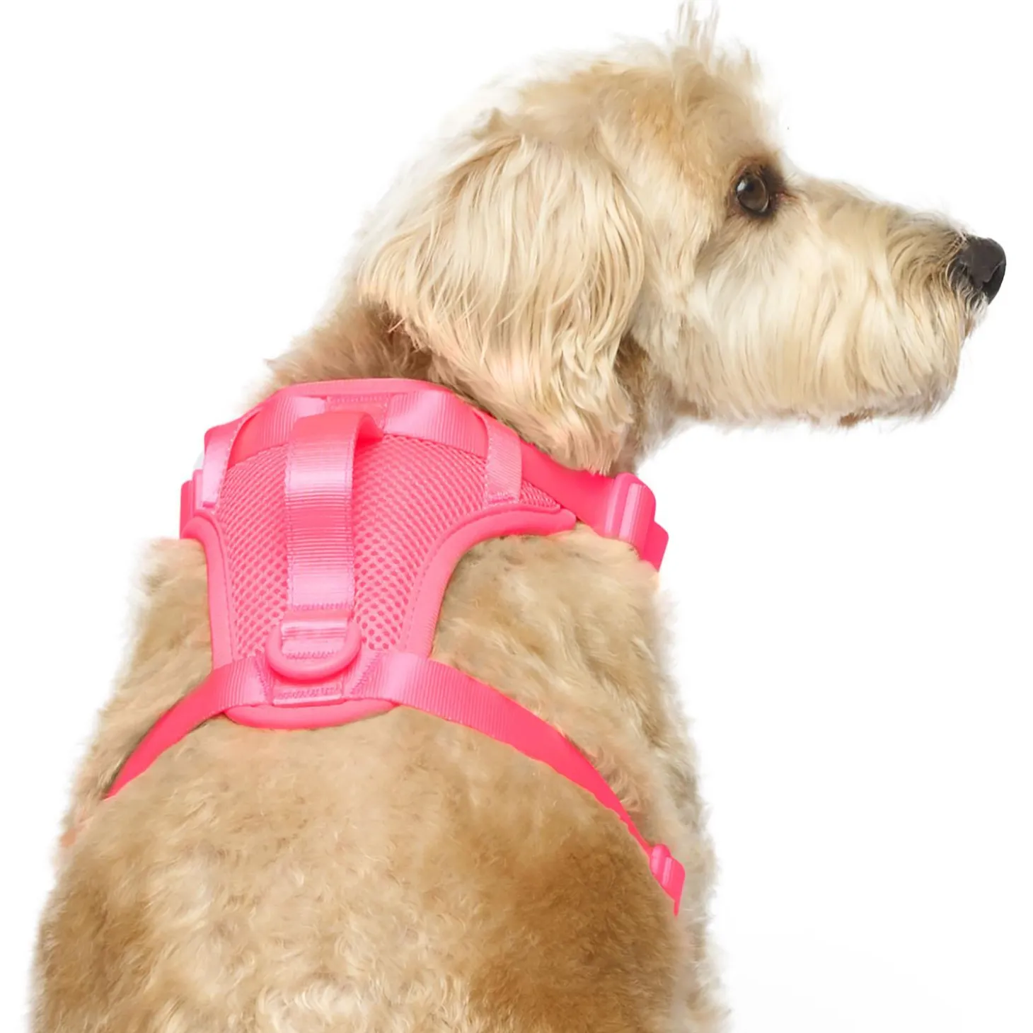 The Everything Mesh Neon Pink Dog Harness