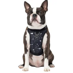 The Everything Water-Resistant Harness Splatter