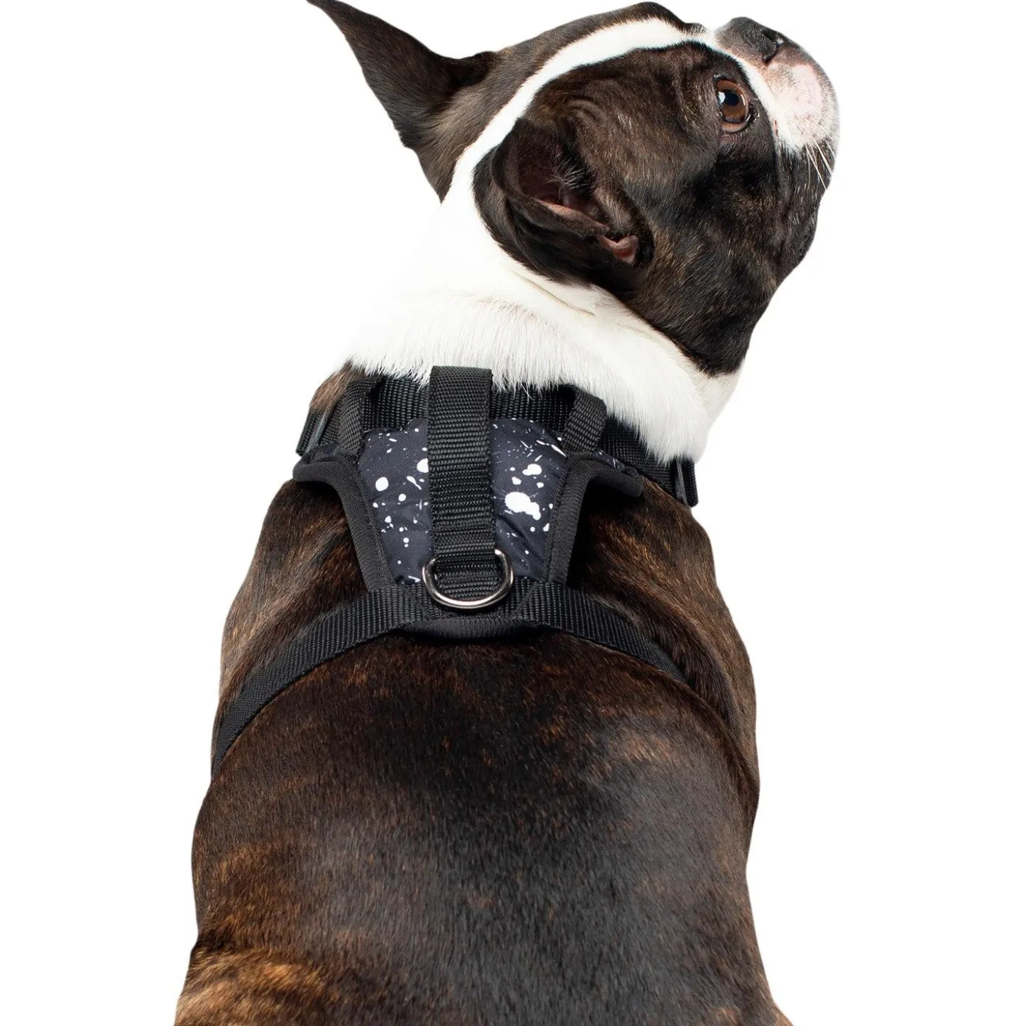 The Everything Water-Resistant Harness Splatter