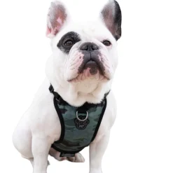 The Everything Water-Resistant Harness Camo