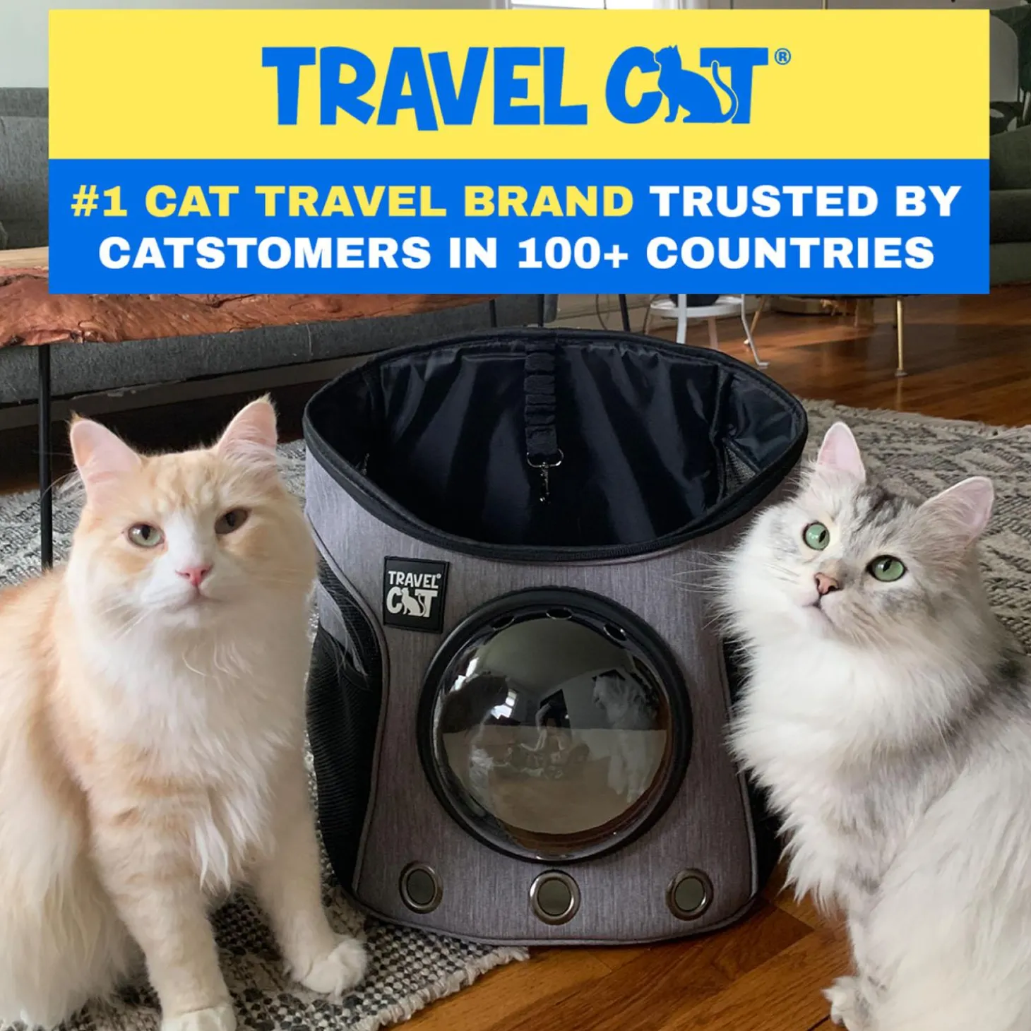 The Fat Cat Mini Grey Backpack