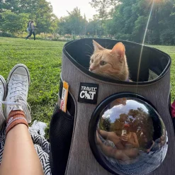 The Fat Cat Mini Grey Backpack