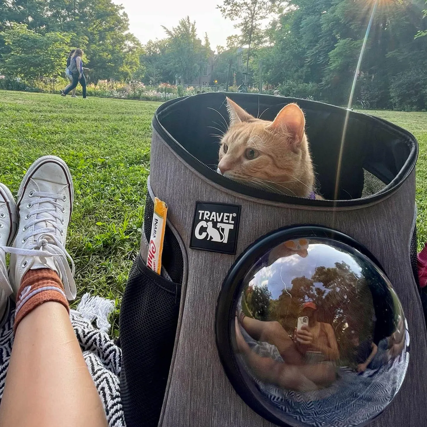 The Fat Cat Mini Grey Backpack