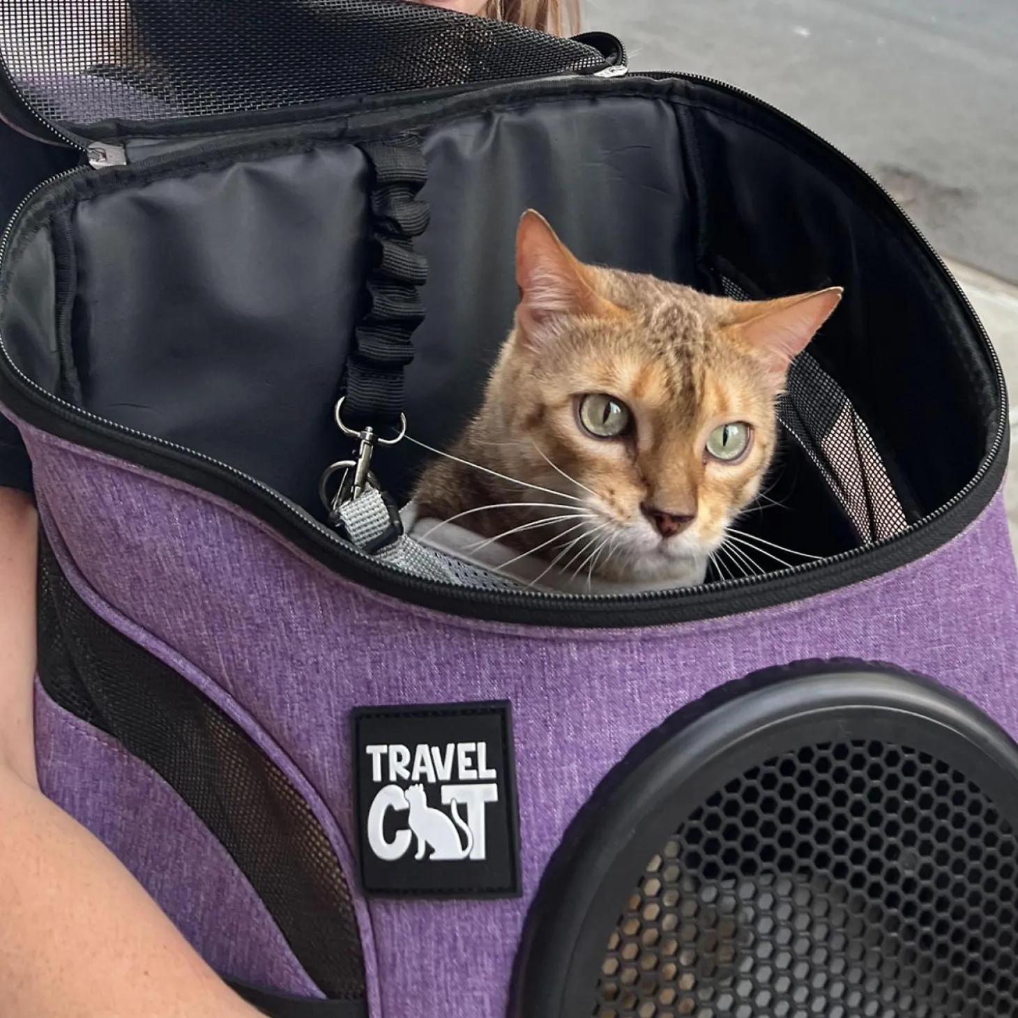 The Fat Cat Mini Purple Backpack