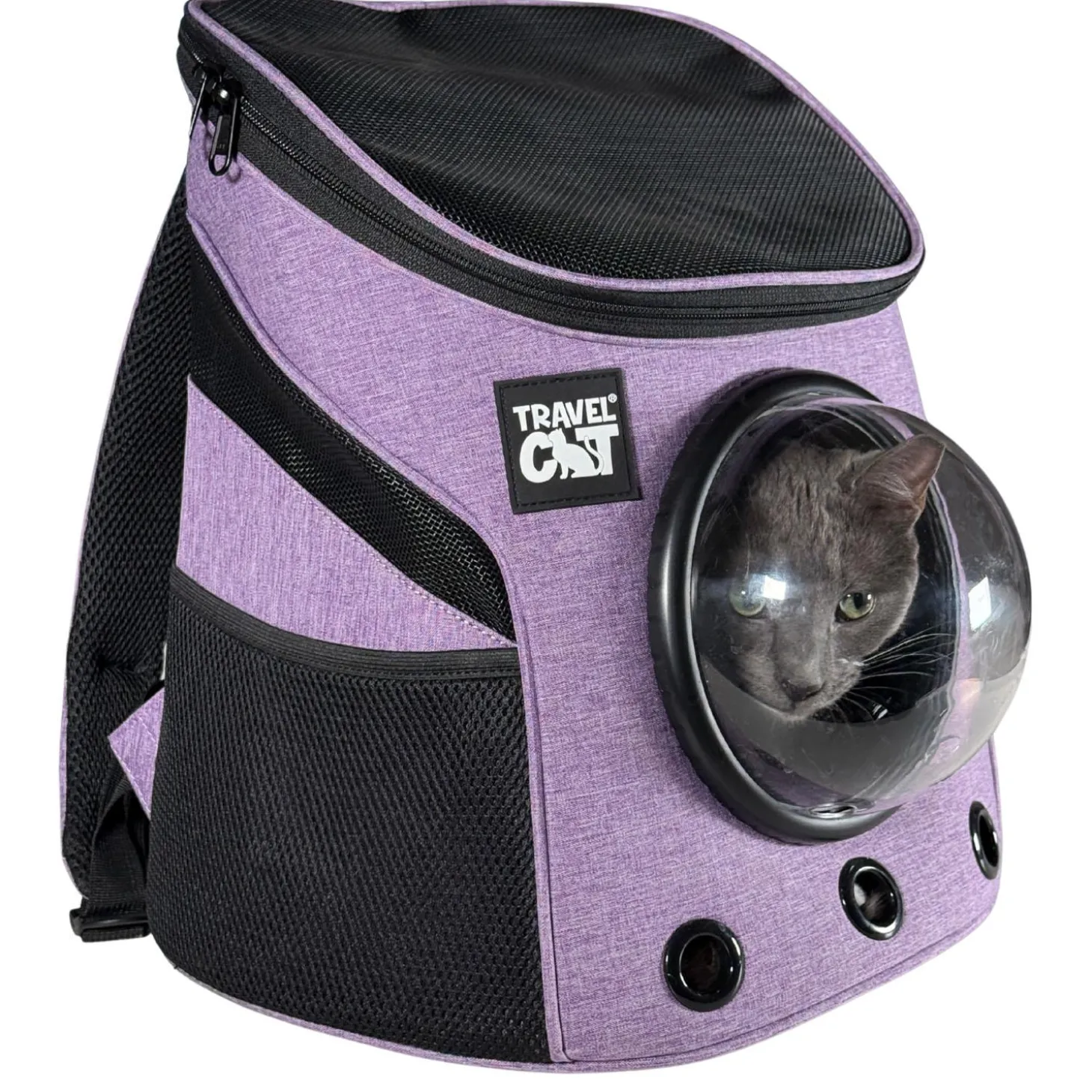 The Fat Cat Mini Purple Backpack