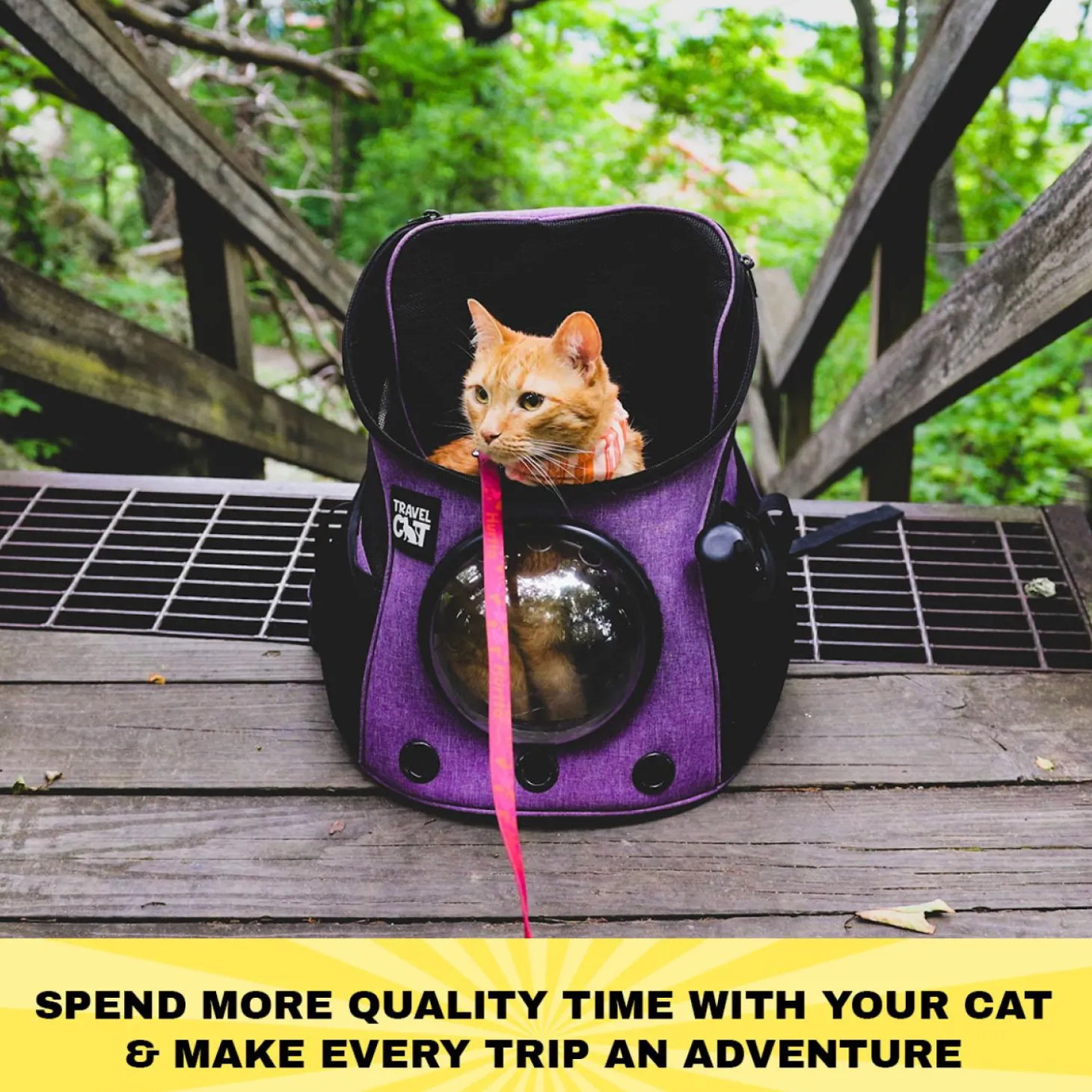 The Fat Cat Mini Purple Backpack