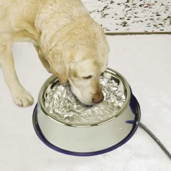 Thermal Bowl Stainless Steel