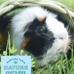 Timothy CLUB Small Animal Tunnel